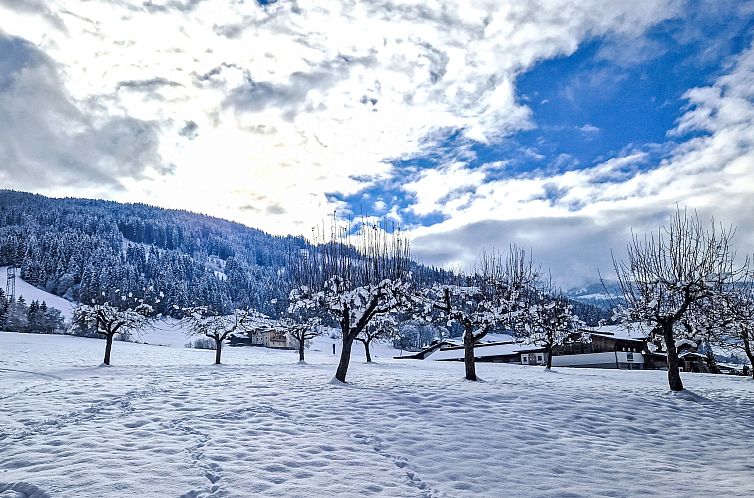 Appartement Wildschütz