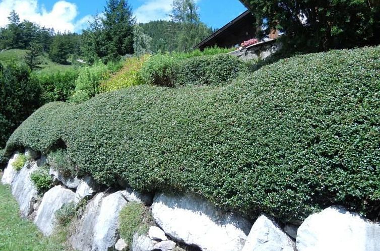 Vakantiehuis Privathaus Achensee
