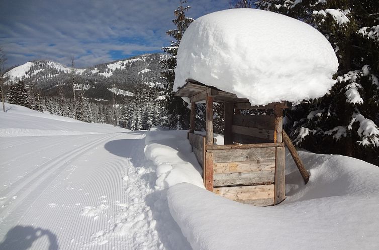 Vakantiehuis Privathaus Achensee