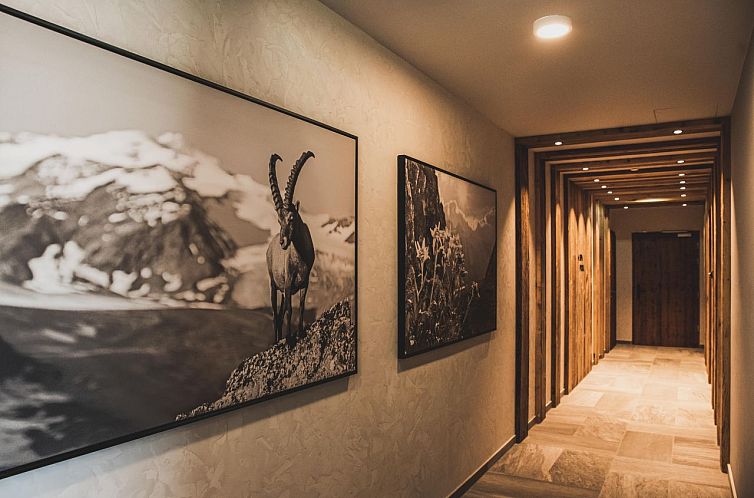 Appartement in Ehrwald