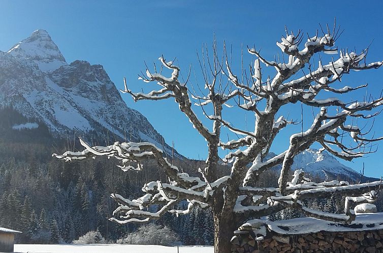 Appartement Ehrwalder Sonnenhof