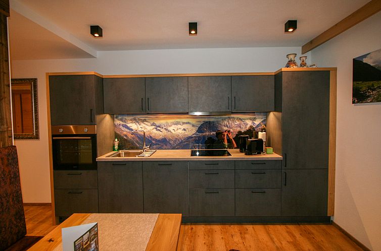 Appartement Erzherzog’s Apts/Zillertal Alpen Lodge