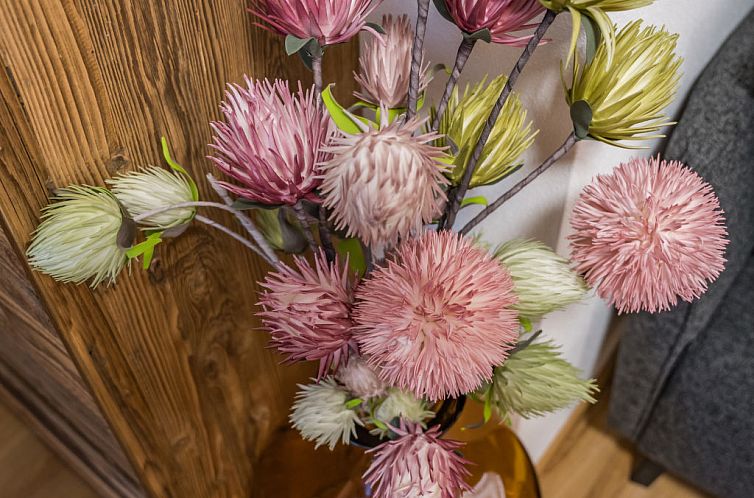 Appartement Montec Apart 2