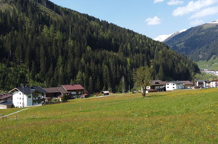 Appartement Wanglblick