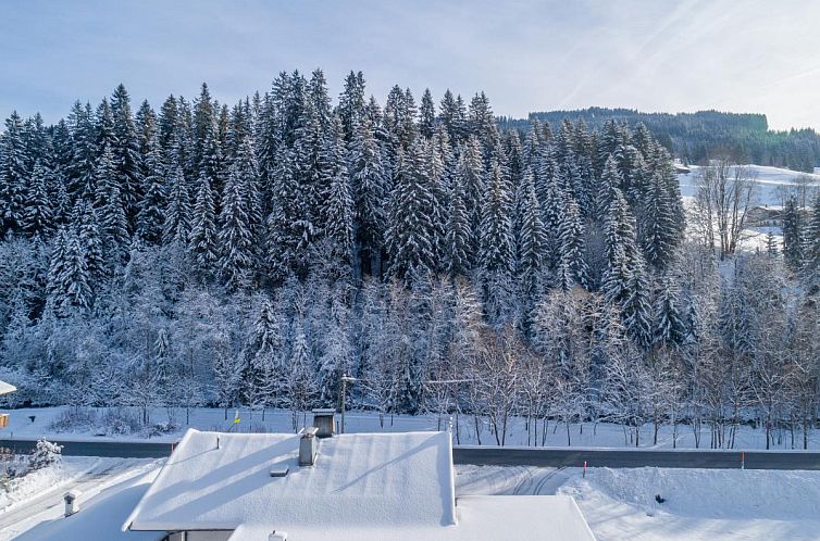 Blick auf den Rettenstein Top 1 und 2