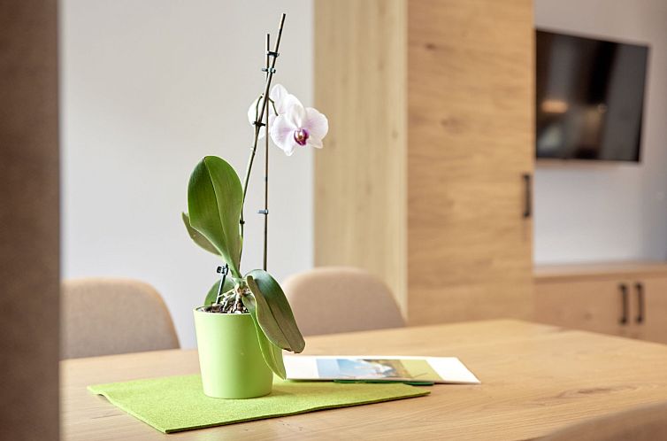 Appartement s`Groasse am Hannesnhof