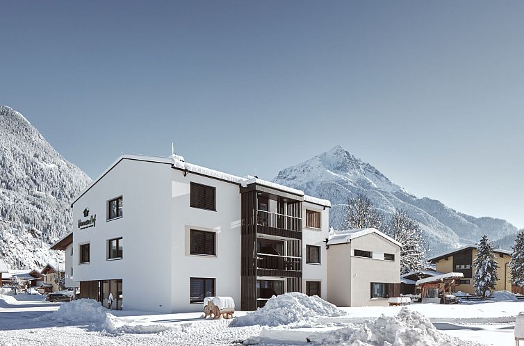 Appartement s`Groasse am Hannesnhof