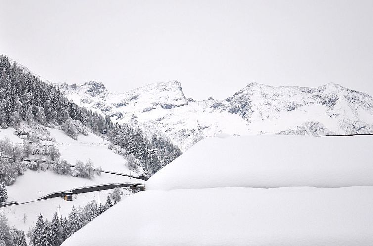 Appartement Stillvolle Luxus Wohnung in der Residenz Silvret