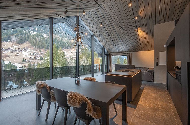 Vakantiehuis Paznauner Villen - Villa II.