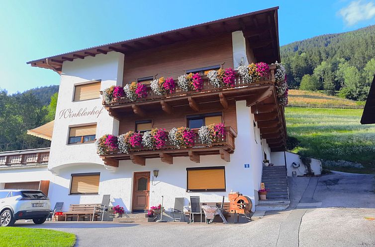 Guest house 11619803 - Apartment Tyrol - Appartement Winklerhof - Bergblick