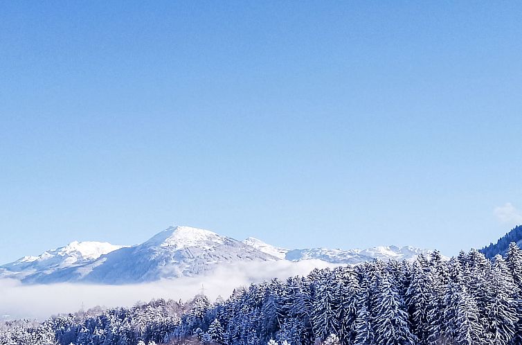 Appartement Garten Appartement