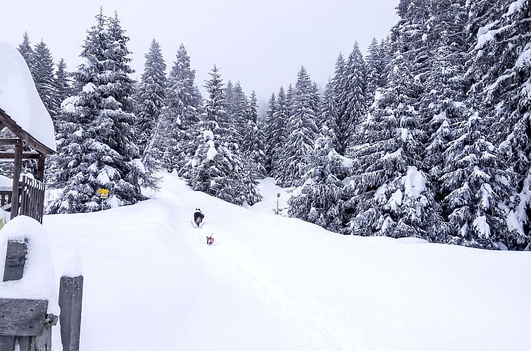 Appartement Garten Appartement