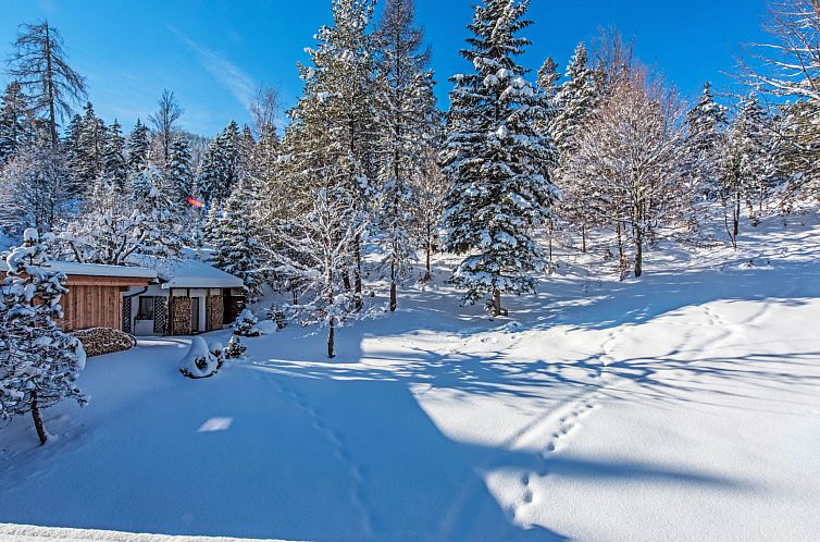 Appartement Waldblick
