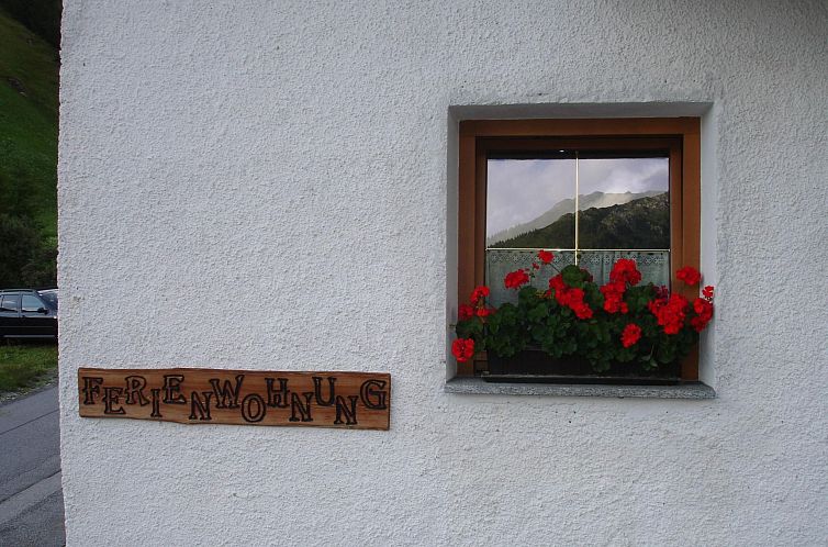 Appartement mit Schwedenofen und großer Terrasse