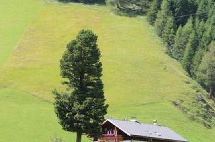 Appartement mit Schwedenofen und großer Terrasse