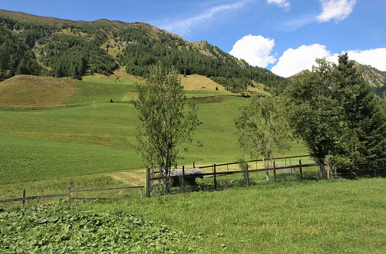 Appartement mit Schwedenofen und großer Terrasse
