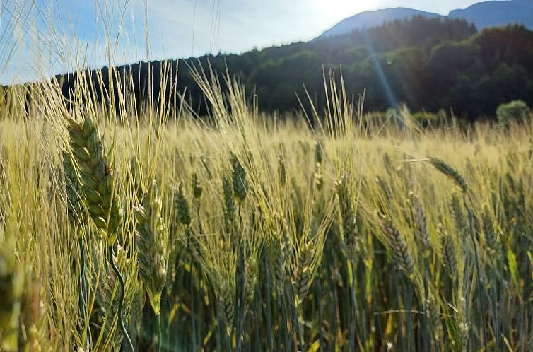 Appartement Die Tagträumerei