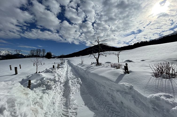 Appartement Gassreith