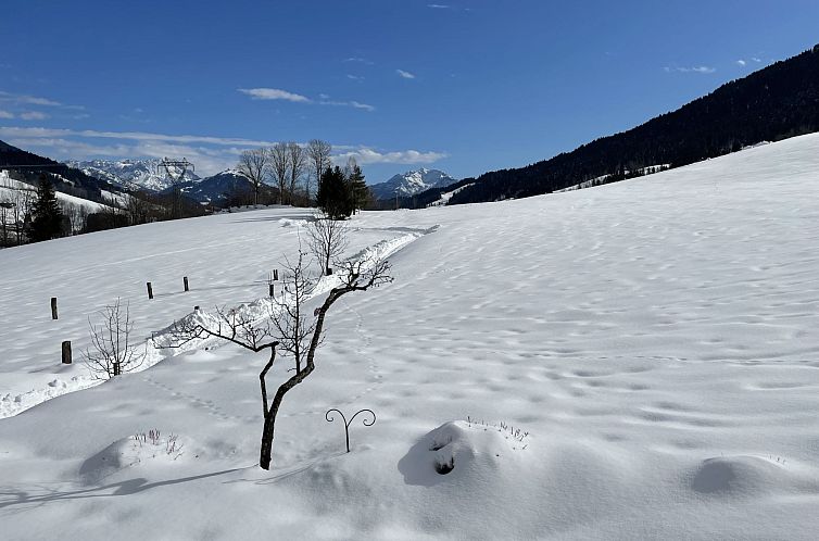 Appartement Gassreith