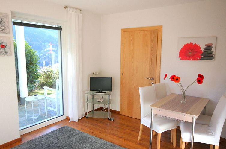 Appartement Muehlbach