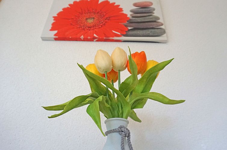 Appartement Muehlbach