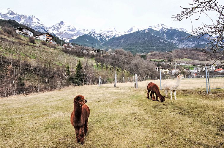 Appartement Kaufmann