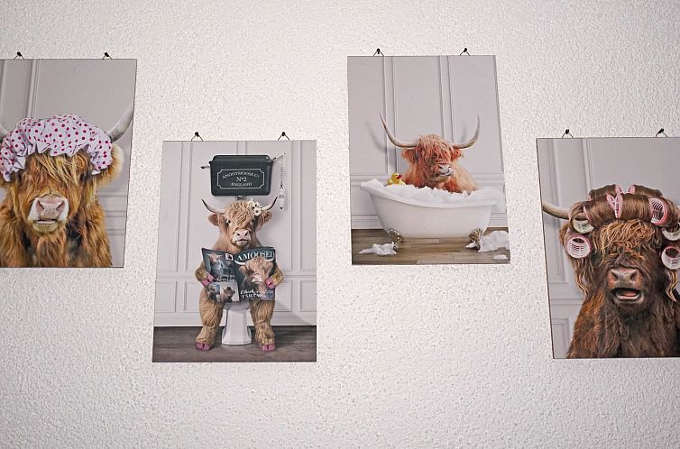 Appartement Sandra Falch