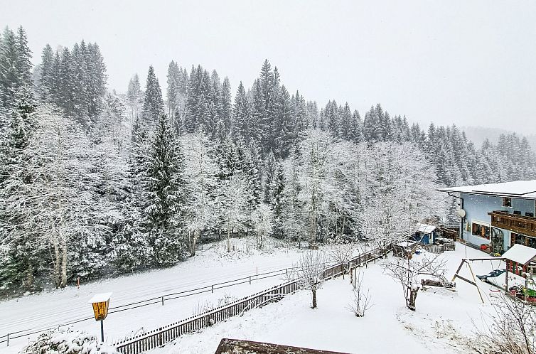 Appartement Fichtenblick