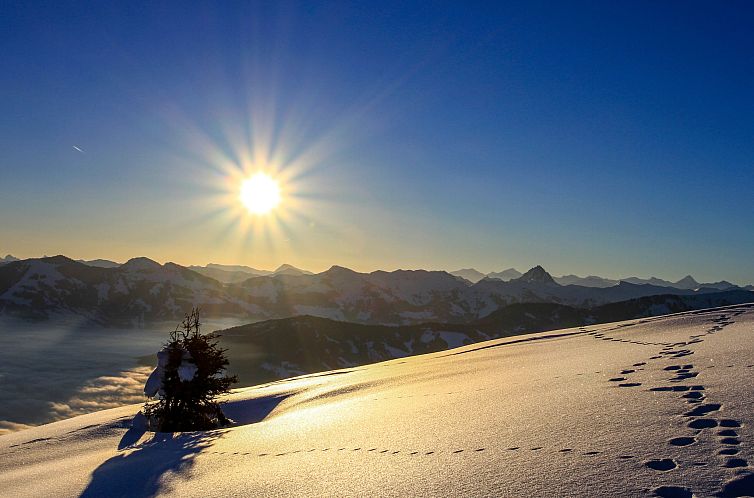Appartement Weißbacher