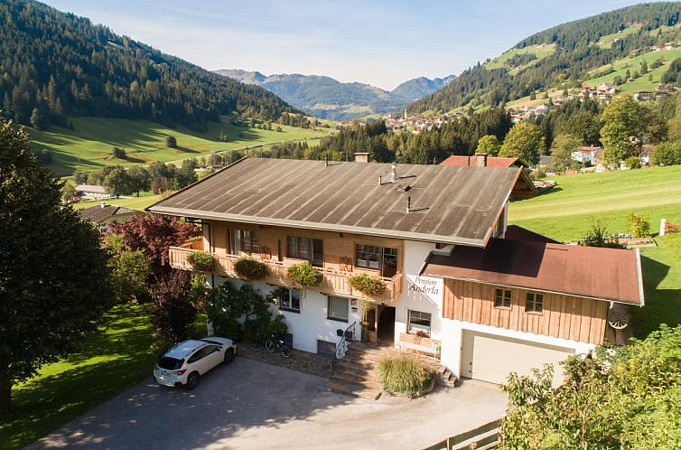 Attraktives Ferienhaus Anderla 2 in der Wildschoenau, Tirol, mit herrlichem Blick auf schneebedeckte Berge.
