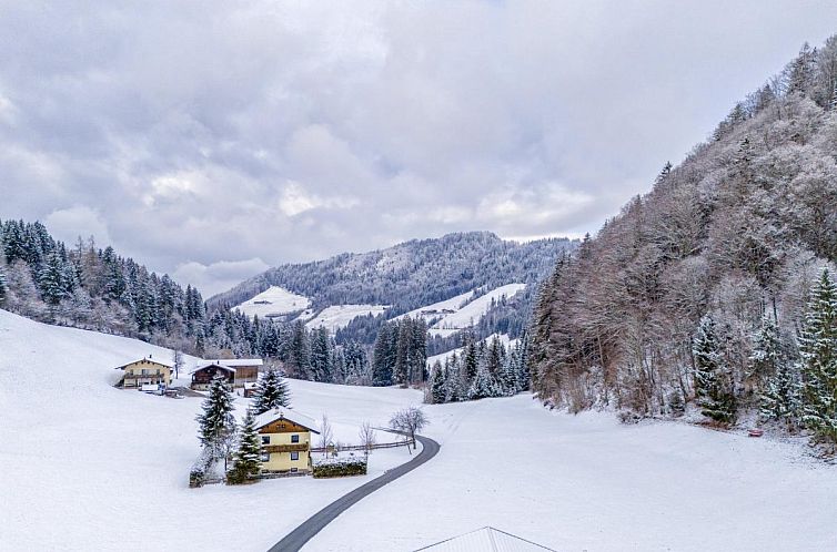 Tiroler Bergtraum Top 1