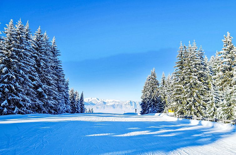Appartement Alpine Residence Auszeit