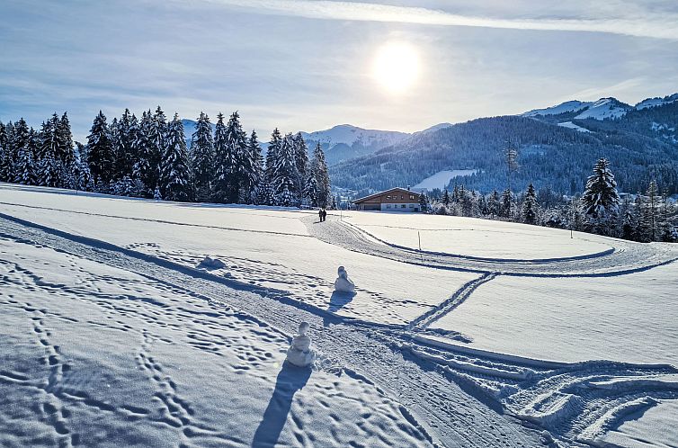 Appartement Alpine Residence Auszeit