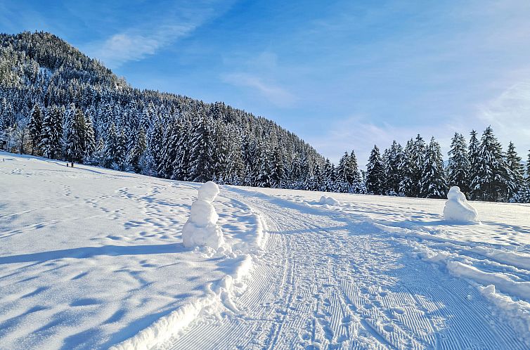 Appartement Alpine Residence Auszeit