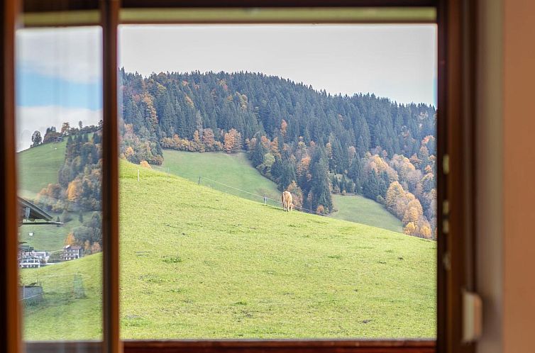 Tiroler Bergtraum Top 2