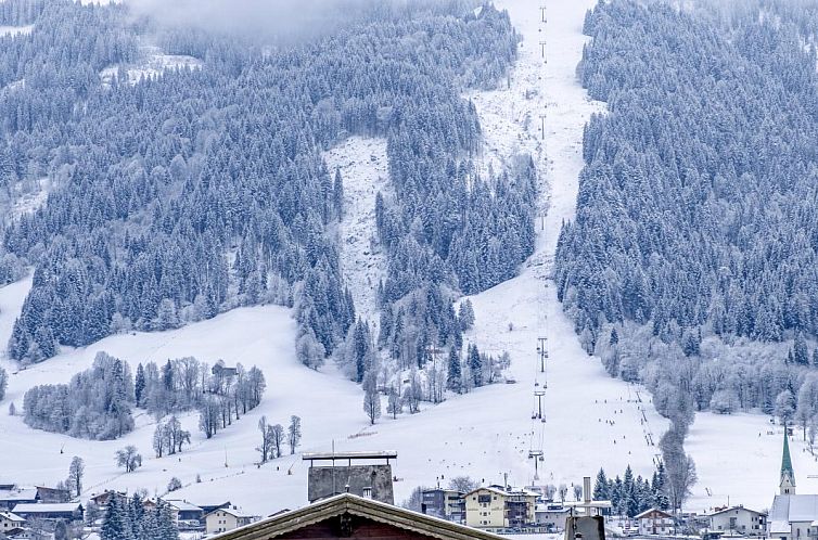 Tiroler Bergtraum Top 2