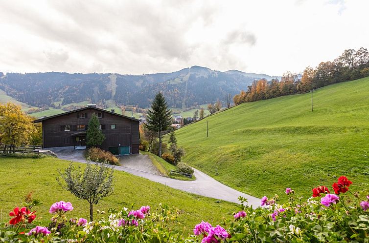 Tiroler Bergtraum Top 2