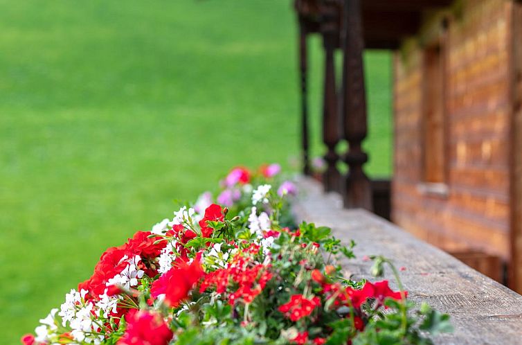 Tiroler Bergtraum Top 2