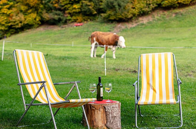 Tiroler Bergtraum Top 2