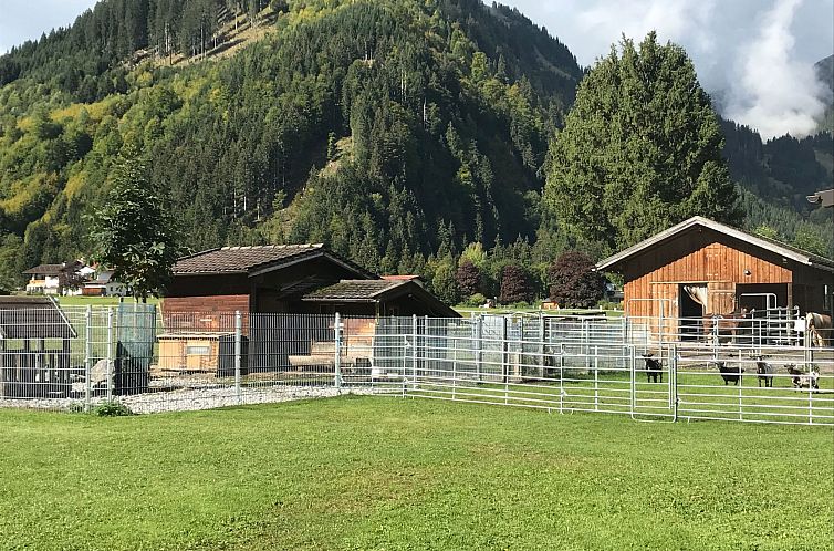 Appartement Pony-Ziegen-Hasen-Ranch in Bichlbach