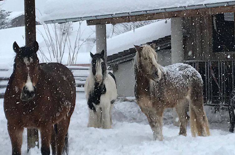 Appartement Pony-Ziegen-Hasen-Ranch in Bichlbach
