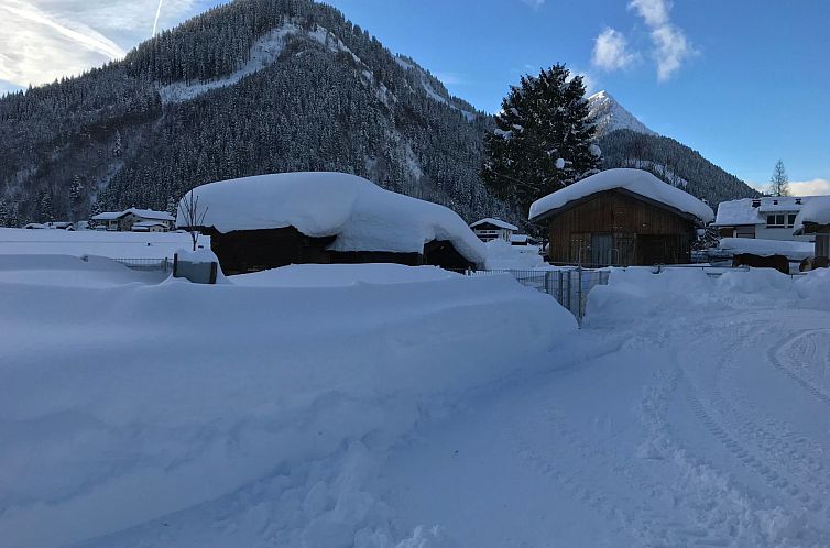 Appartement Pony-Ziegen-Hasen-Ranch in Bichlbach