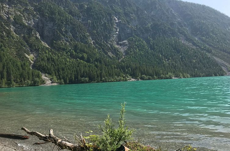 Appartement Pony-Ziegen-Hasen-Ranch in Bichlbach