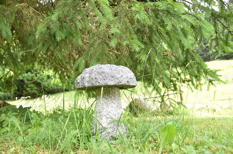 Appartement Studio Esche 2