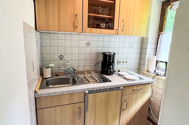 Appartement Studio Esche 3