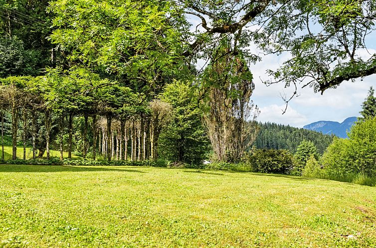 Appartement Studio Esche 4