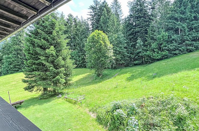 Appartement Studio Esche 4