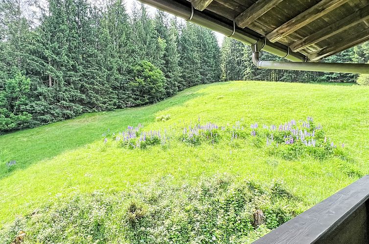 Appartement Studio Esche 4