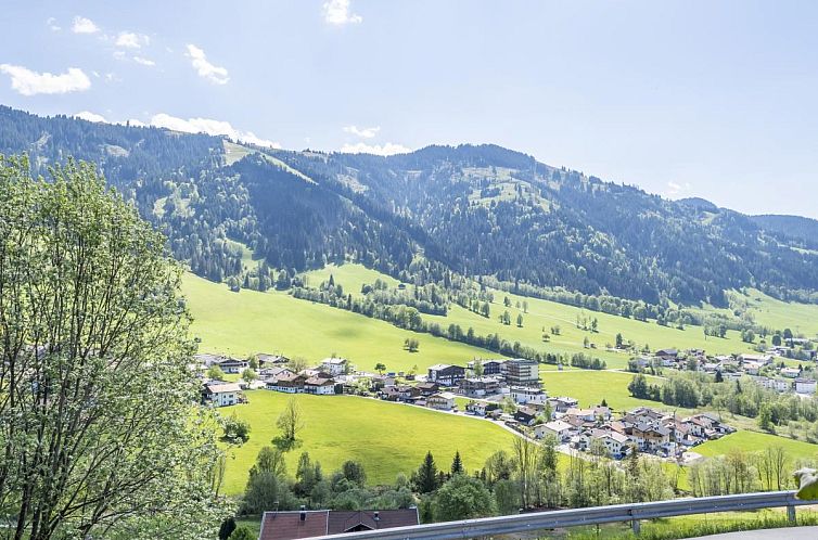 Zaustoi