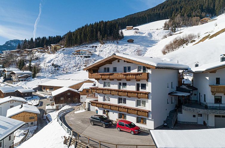 Enjoy the winter scenery at Apartment Rohrmoser, a cozy vacation home in Hippach-Schwendberg, Tyrol, surrounded by majestic mountains.